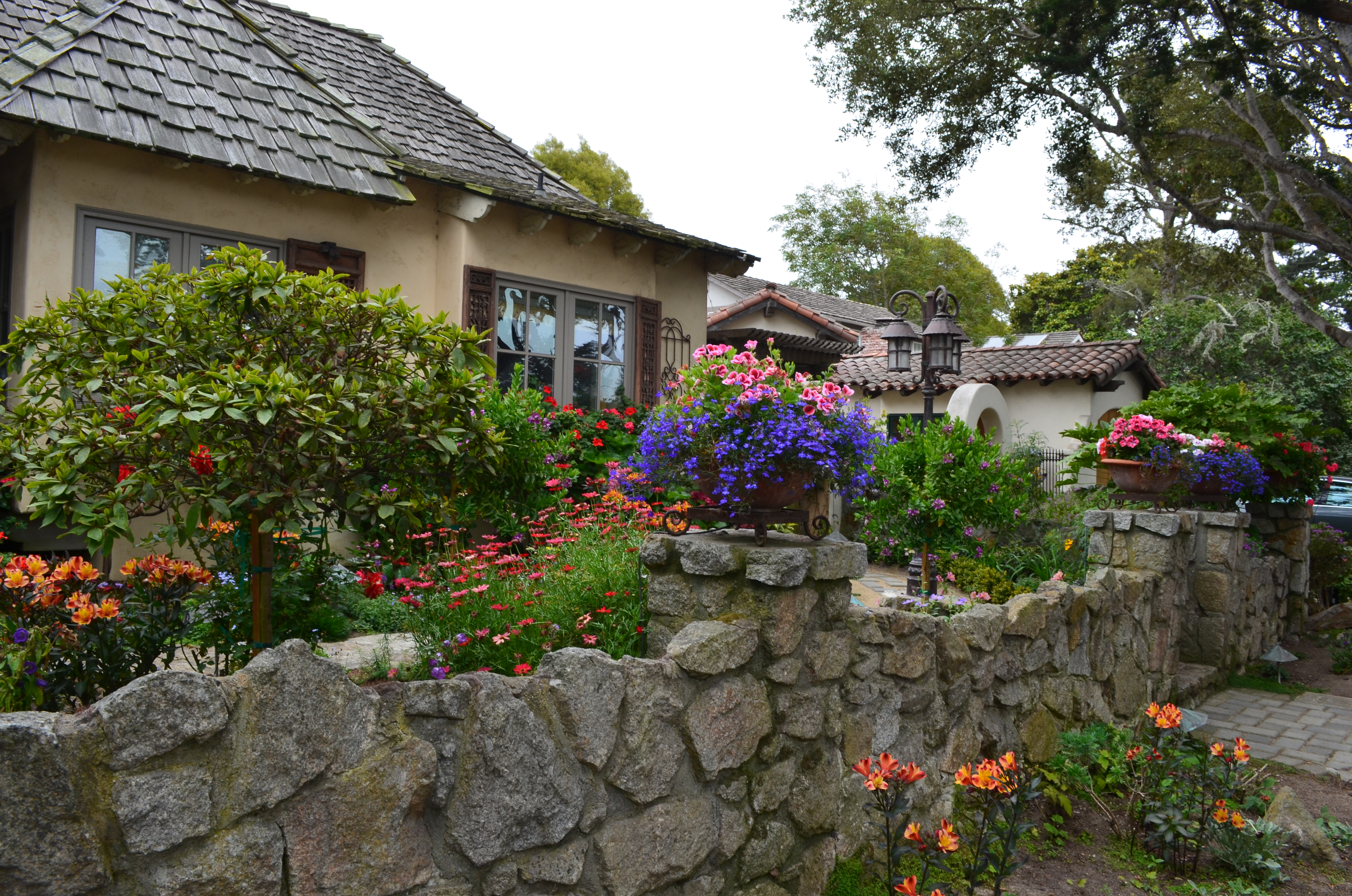 ./2018/09 - San Francisco/ASC_0355.JPG